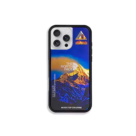ブランド ノース フェイス iphone17/17pro/17air/17promaxスマホケース 